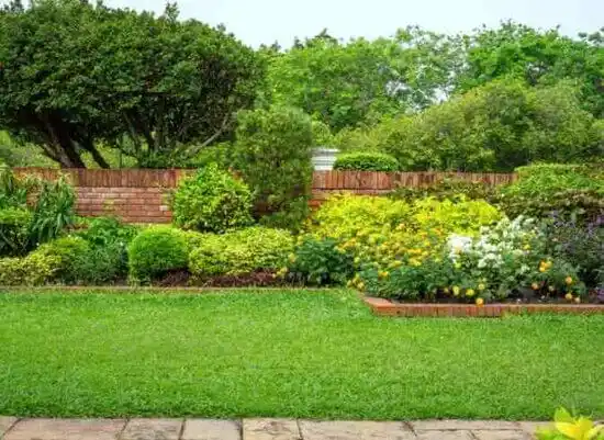 landscaping services Houston